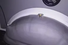 volkswagen-transporter-t-4-t-5-webp-34